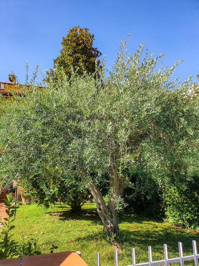 Villa Elsa, Cesena Zona Ippodromo Bagian luar foto