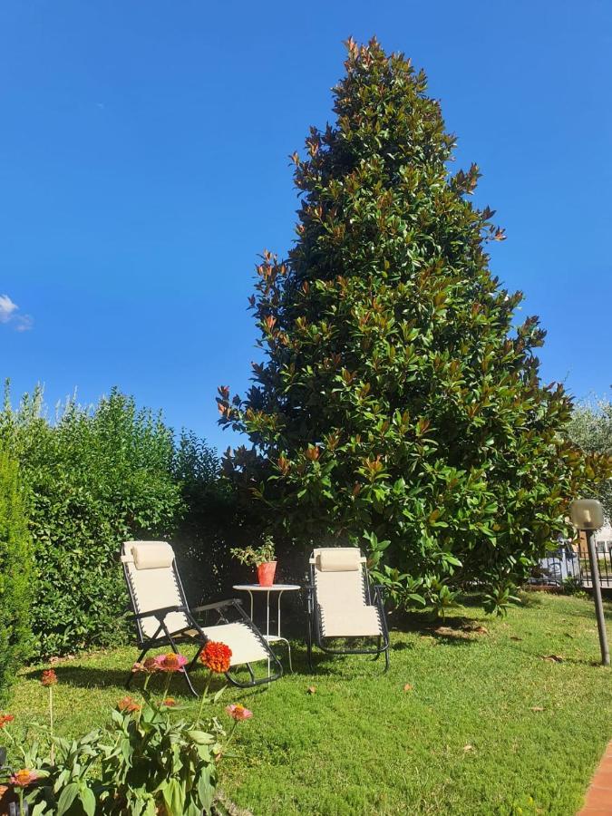 Villa Elsa, Cesena Zona Ippodromo Bagian luar foto
