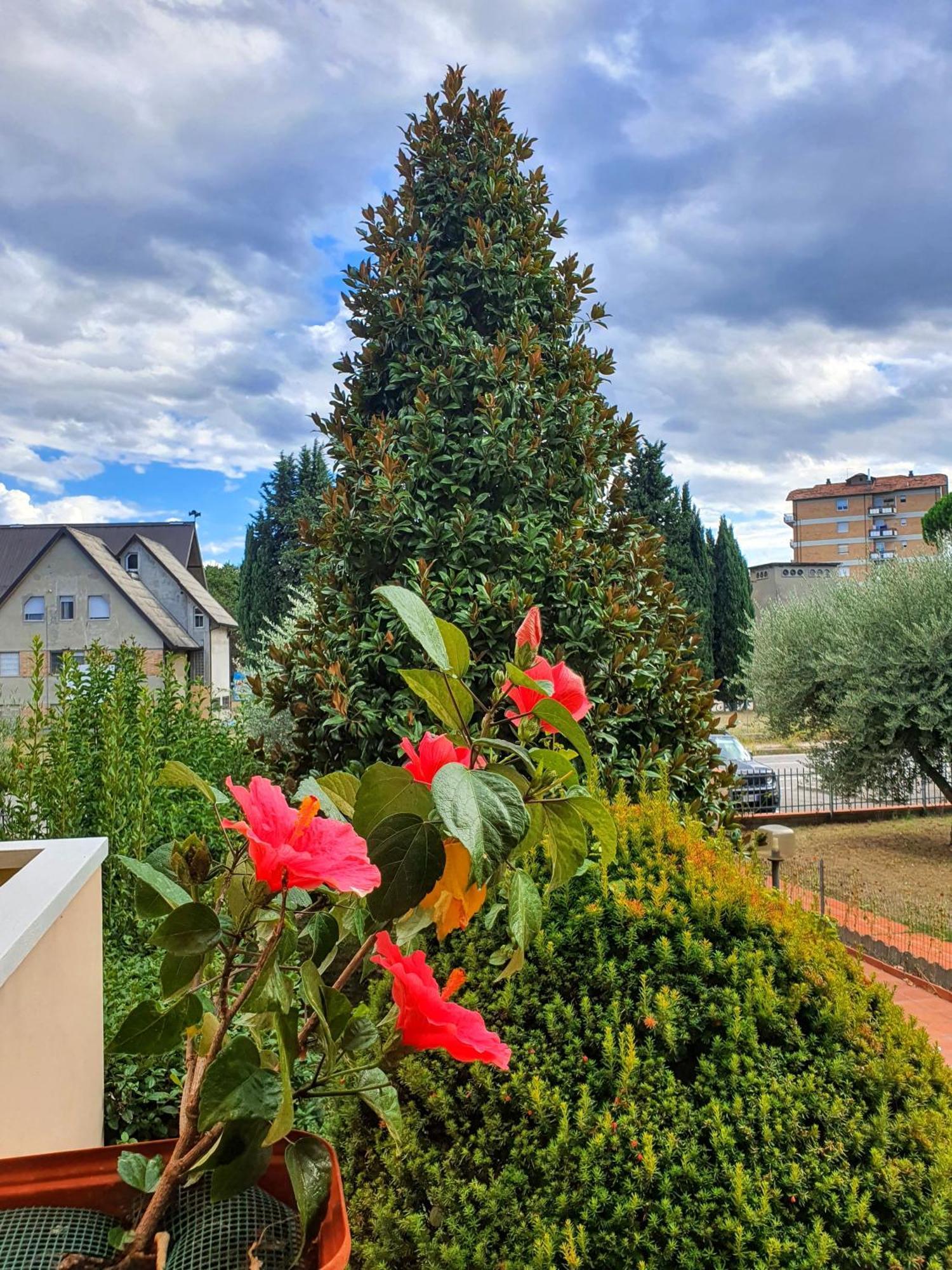 Villa Elsa, Cesena Zona Ippodromo Bagian luar foto