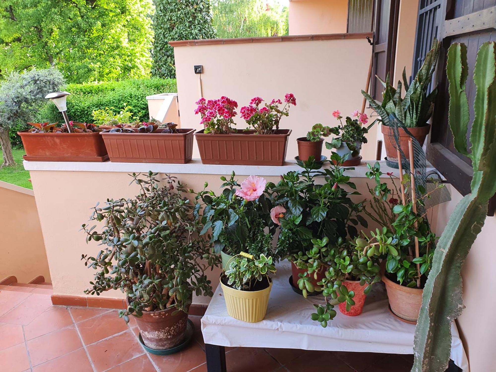 Villa Elsa, Cesena Zona Ippodromo Bagian luar foto